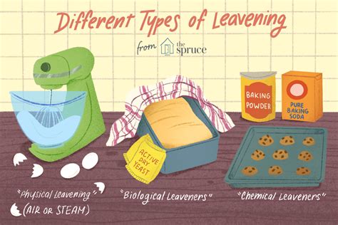 leaven deutsch|leavener definition.